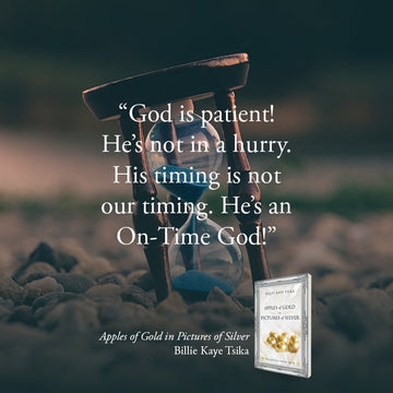 Apples of Gold in Pictures of Silver: Promises from God Paperback – December 20, 2022 - Faith & Flame - Books and Gifts - Destiny Image - 9780768463842