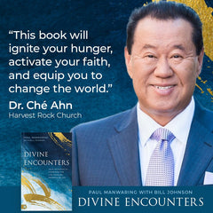 Divine Encounters: Your Invitation to Experience the Life - Changing Presence of God Paperback – November 5, 2024 - Faith & Flame - Books and Gifts - Destiny Image - 9780768478327