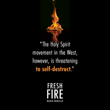 Fresh Fire: When You Are Finally Serious About Power In The End Times Paperback – May 7, 2024 - Faith & Flame - Books and Gifts - Destiny Image - 9780768482799