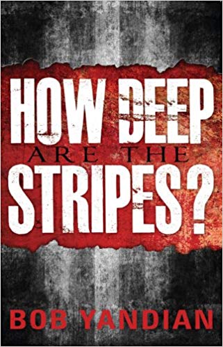 How Deep are the Stripes? - Faith & Flame - Books and Gifts - Harrison House - 9781885600141