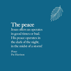 Peace: Fearless Resilience in a Chaotic World Paperback – December 5, 2023 - Faith & Flame - Books and Gifts - Harrison House - 9781667503165