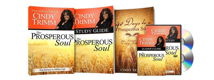 Prosperous Soul Large Study Kit - Faith & Flame - Books and Gifts - Destiny Image - PSLGSK