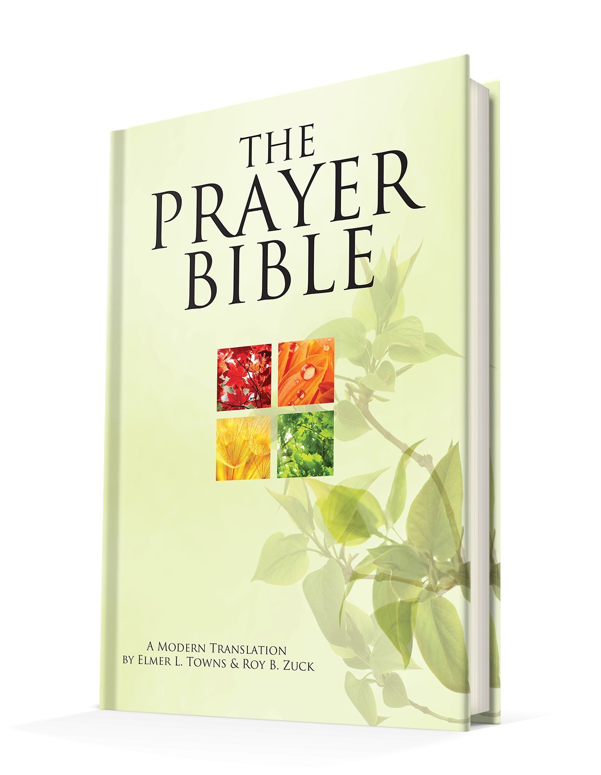 The Prayer Bible