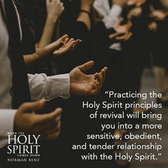 When the Holy Spirit Comes Down: Secrets to Hosting the Holy Spirit (Paperback) - March 5, 2024 - Faith & Flame - Books and Gifts - Destiny Image - 9780768474343