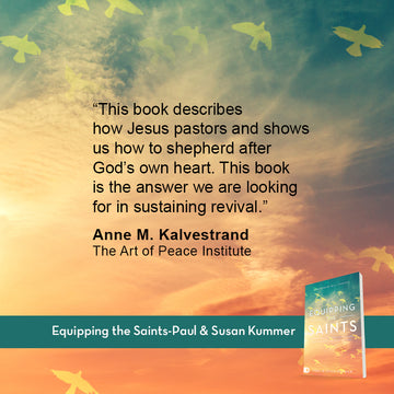 Equipping the Saints: Raising Up Everyday Revivalists Who Sustain the Move of God Paperback – November 15, 2022 - Faith & Flame - Books and Gifts - Destiny Image - 9780768462982